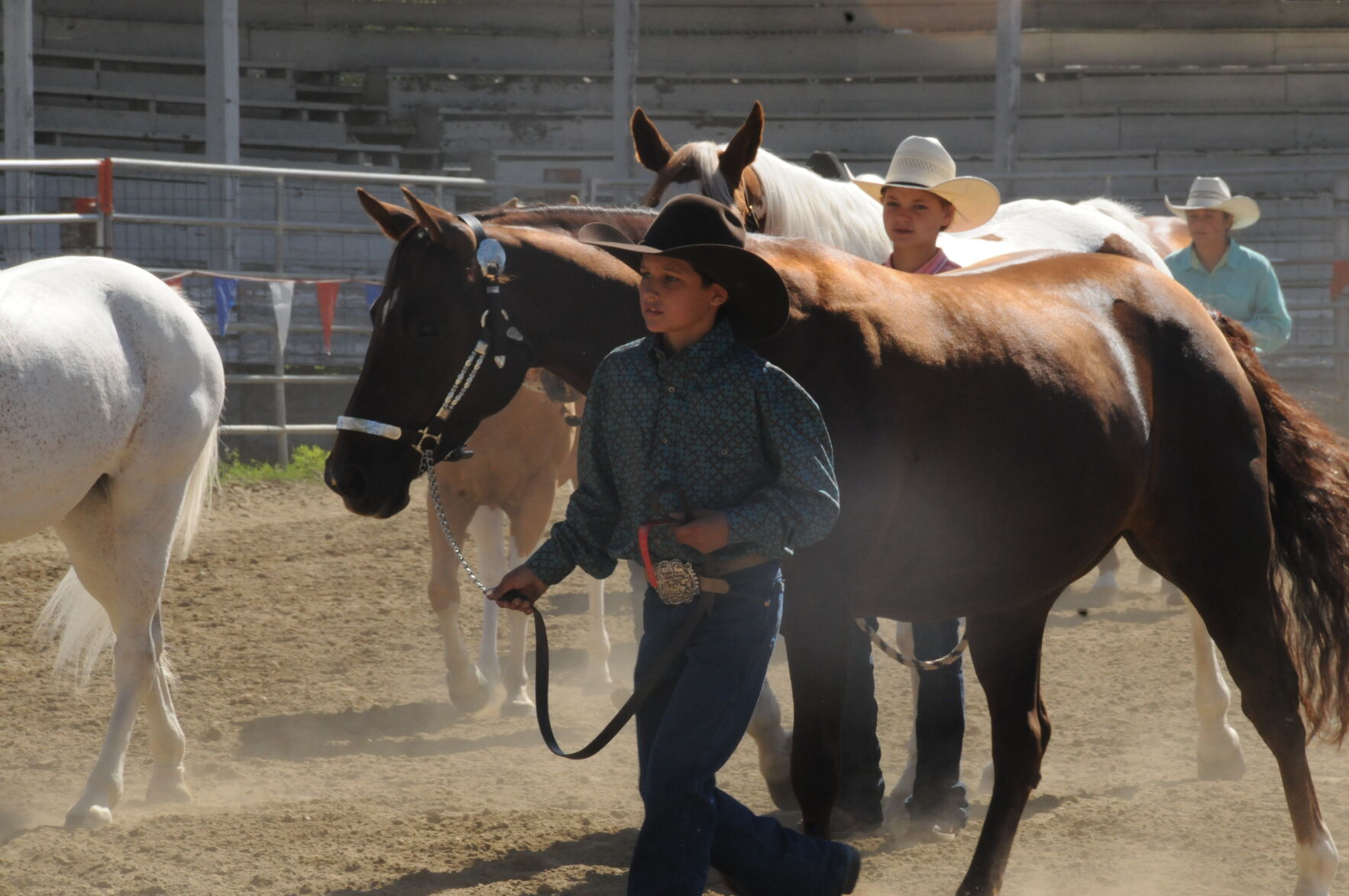4-H Horse show photo1